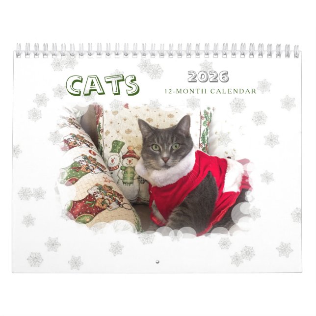 Calendario de gatos 2024 (Tapa)