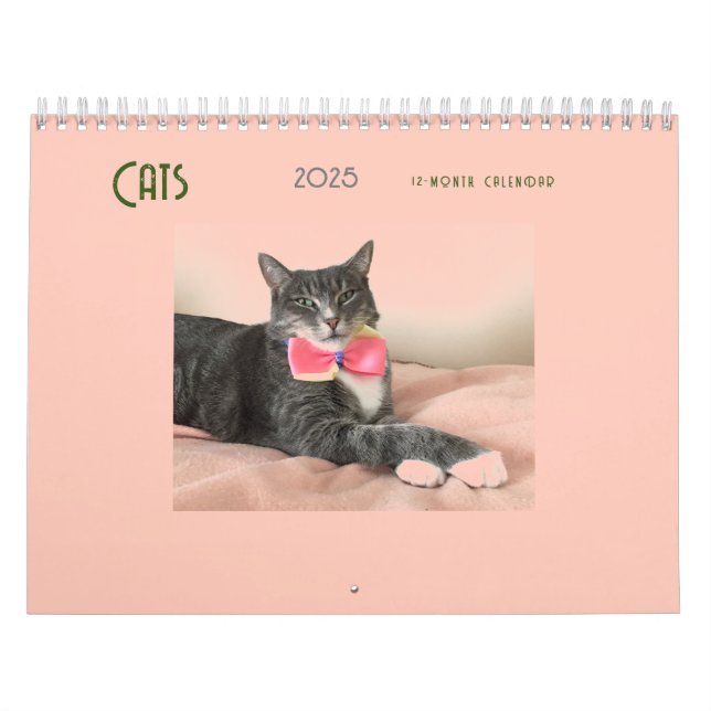 Calendario de gatos 2025 (Tapa)