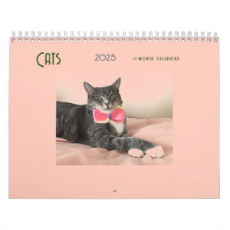 Calendario de gatos 2025