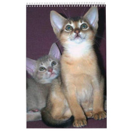 Calendario de gatos abisinos