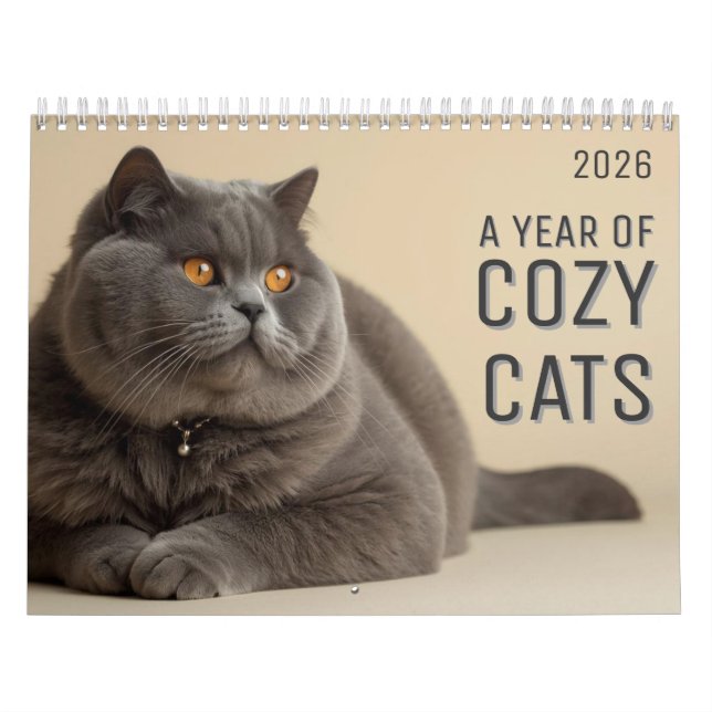 Calendario de Gatos Acogedores del Año (Tapa)