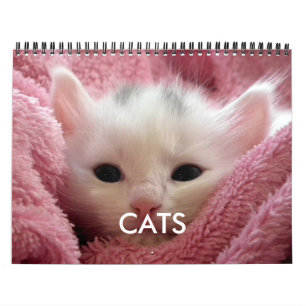 Calendario de Gatos Adorables Rosa para Amantes de