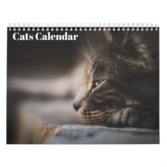 Calendario de gatos bengalíes 2025 (Tapa)