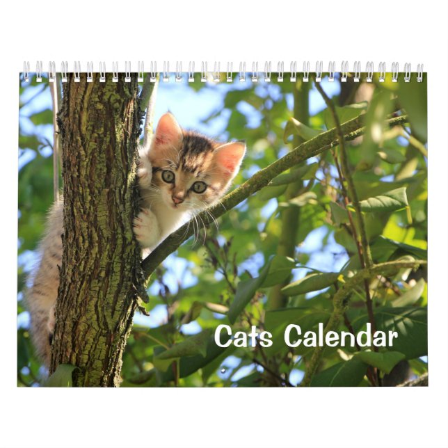 Calendario de gatos de 2023 (Tapa)