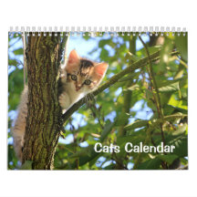 Calendario de gatos de 2023