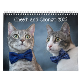 Calendario de gatos de corte