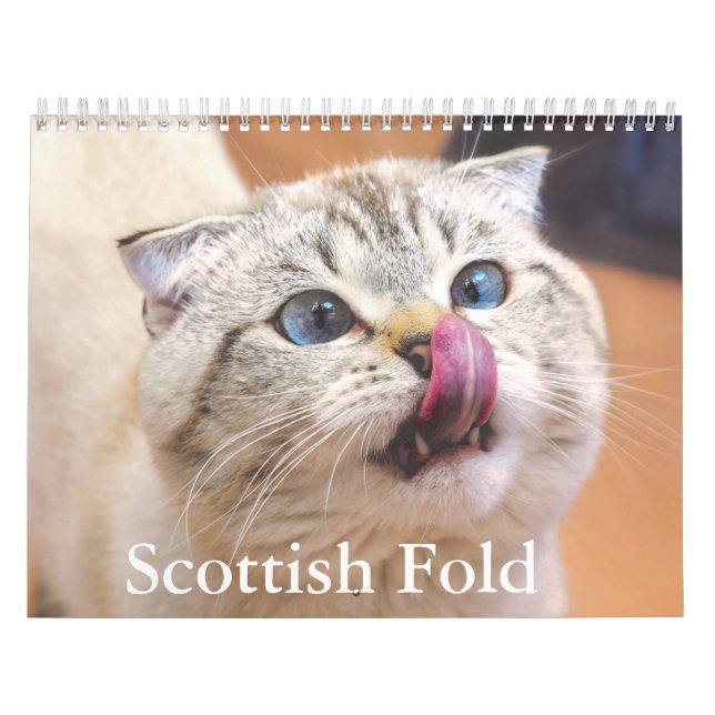 Calendario de gatos de plegado escocés (Tapa)