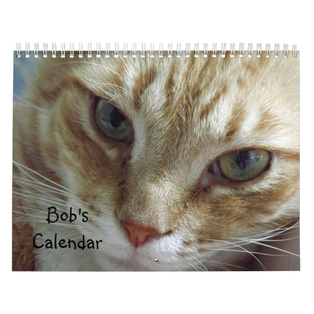 Calendario de gatos de Tabby de naranja con Bob (Tapa)