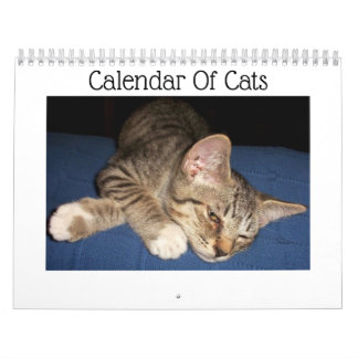 Calendario de gatos de tabla