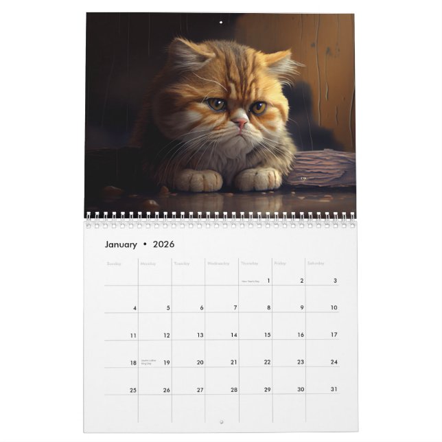 Calendario de gatos deprimidos 2024 (Jan 2026)