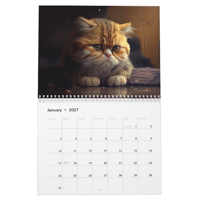 Calendario de gatos deprimidos 2024 (Jan 2027)