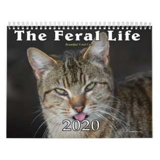 Calendario de gatos ferales de 2020, vida fecal