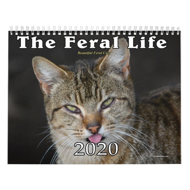 Calendario de gatos ferales de 2020, vida fecal (Tapa)