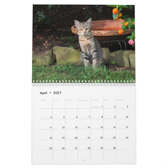 Calendario de gatos gatitos (Apr 2027)