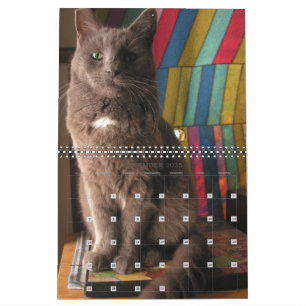 Calendario de gatos Mordi, Basil y Amigos 2025