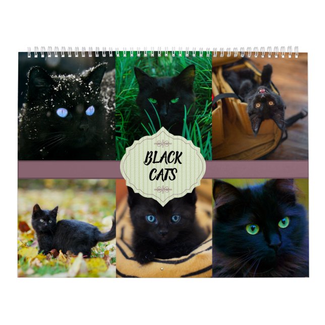 Calendario de gatos negros (Tapa)
