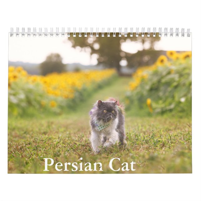 Calendario de gatos persa (Tapa)