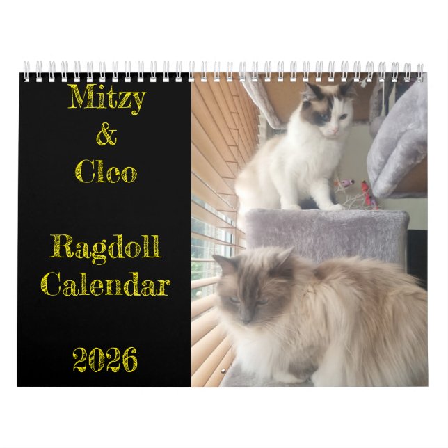 Calendario de gatos Ragdoll (Tapa)