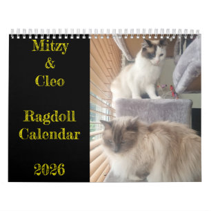 Calendario de gatos Ragdoll