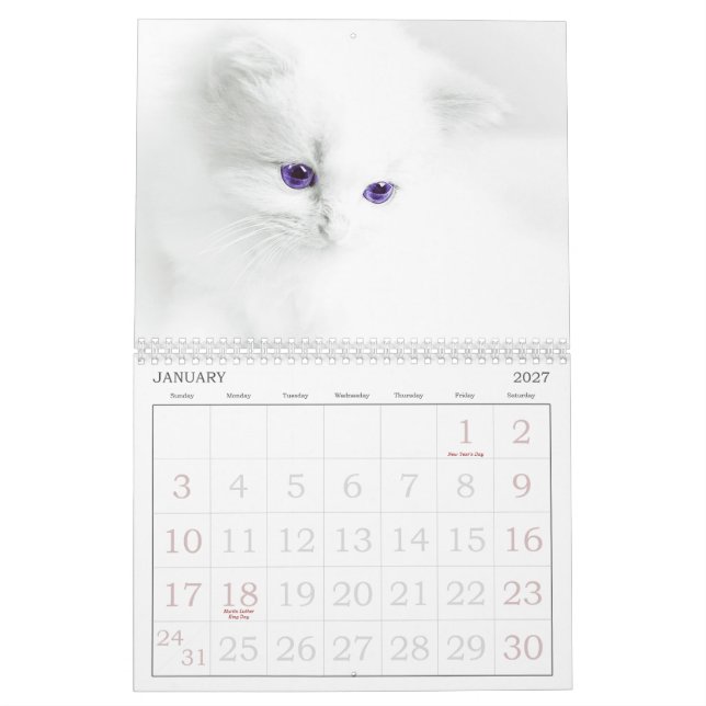 Calendario de gatos recortados (Jan 2027)