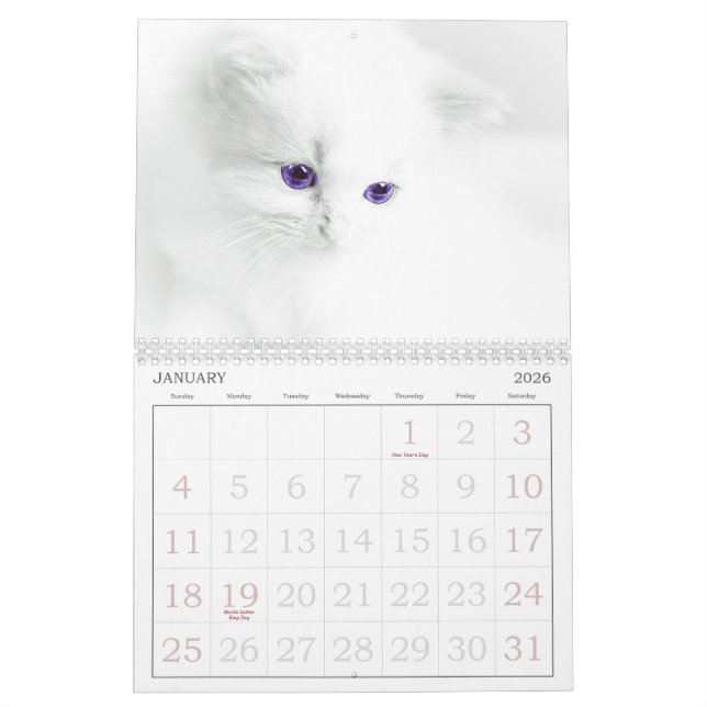 Calendario de gatos recortados (Jan 2026)