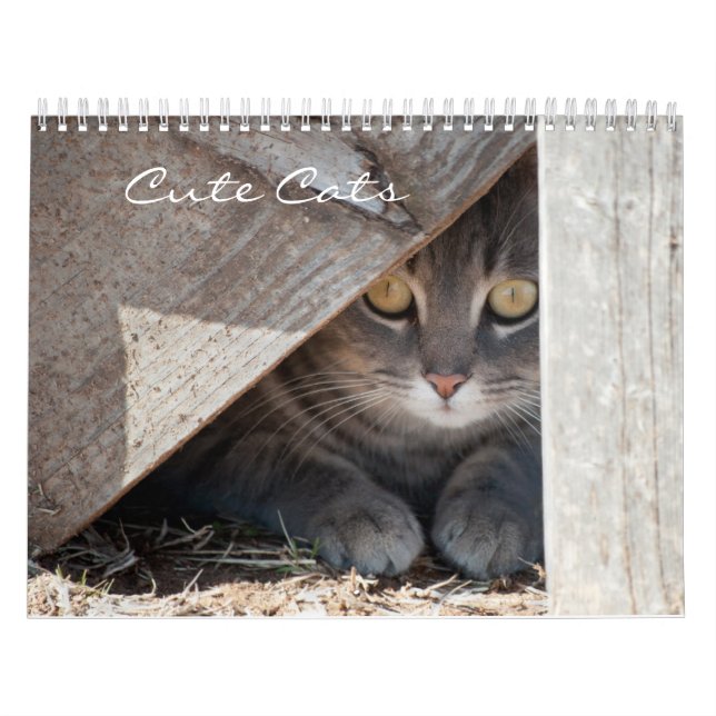 Calendario de gatos recortados (Tapa)