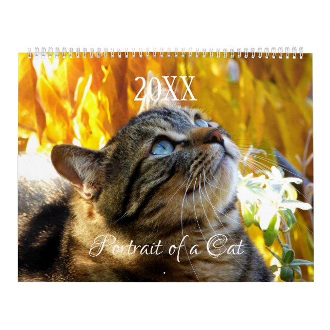 Calendario de Gatos Retrato - HAMbyWG (Tapa)