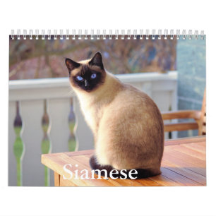 Calendario de gatos siameses