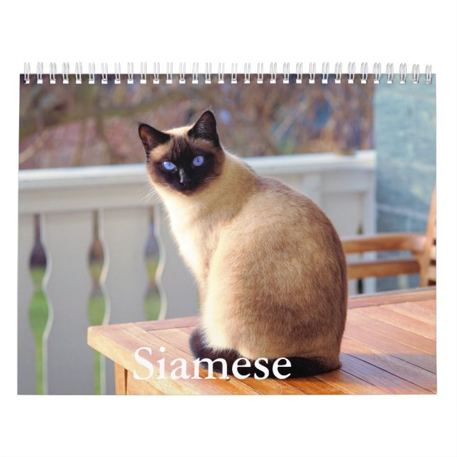Calendario de gatos siameses (Tapa)