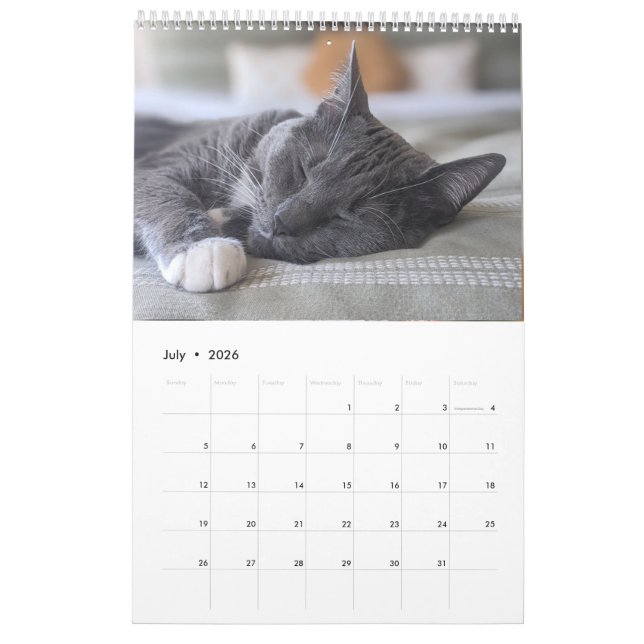 Calendario de gatos somnoliento (Jul 2026)