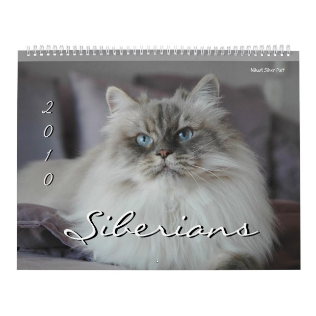 Calendario de gatos y gatitos de Siberia 2010 (Tapa)