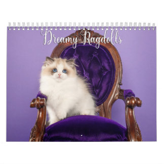 Calendario de Gatos y Gatitos Ragdoll Soñadores