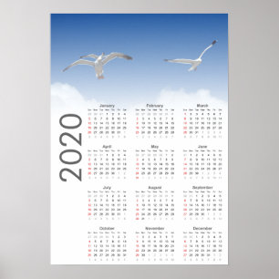 Calendario de Gaviota Póster 2020