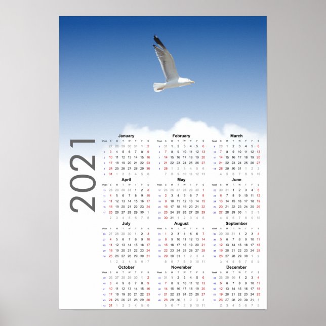 Calendario de Gaviota Póster 2021 - Domingo primer (Frente)