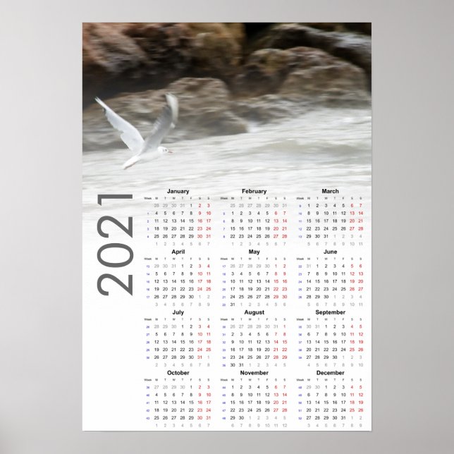 Calendario de Gaviota Póster 2021 - Lunes primero (Frente)