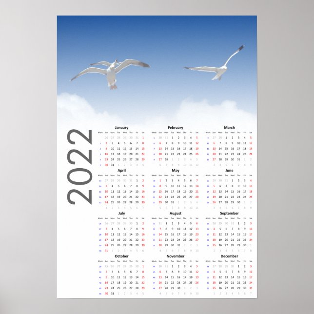 Calendario de Gaviota Póster 2022 - Domingo primer (Frente)