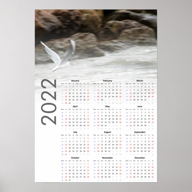 Calendario de Gaviota Póster 2022 - domingo primer (Frente)