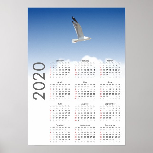 Calendario de Gaviotas Póster 2020 (Frente)