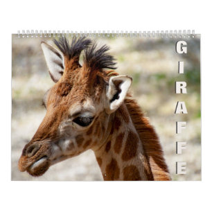 Calendario de Giraffe