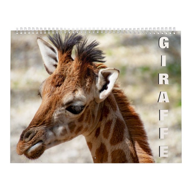 Calendario de Giraffe (Tapa)