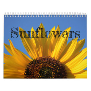 Calendario de girasoles