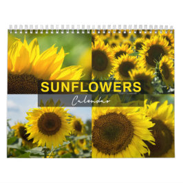 Calendario de Girasoles - Colección de Fotos