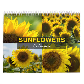 Calendario de Girasoles - Colección de Fotos
