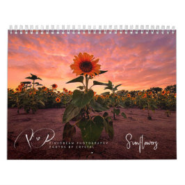 Calendario de girasoles en marcha