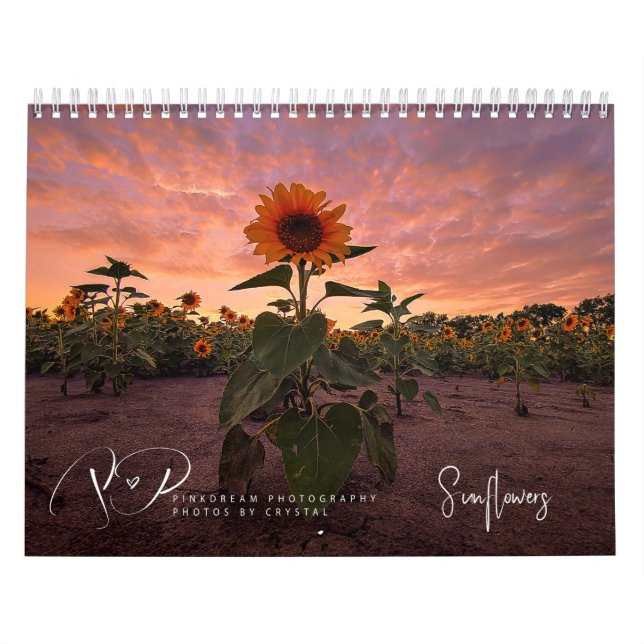 Calendario de girasoles en marcha (Tapa)