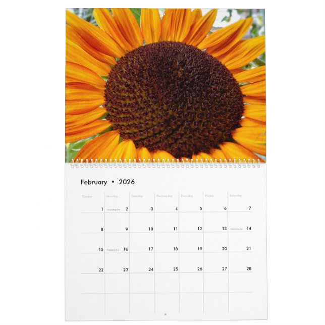 Calendario de girasoles - girasoles del mes 2020 (Feb 2026)
