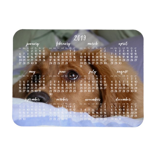 Calendario de Golden Retriever 2019 con imán fotog (Horizontal)