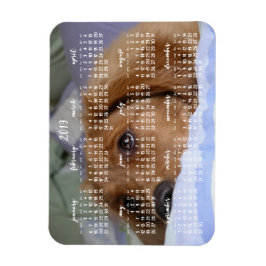 Calendario de Golden Retriever 2019 con imán fotog