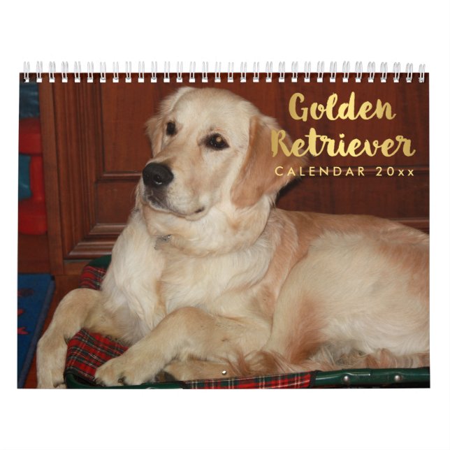 Calendario de Golden Retriever 2026 (Tapa)