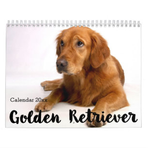 Calendario de Golden Retriever 2026